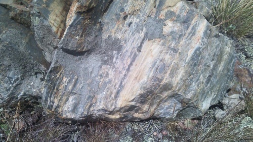 Гигантские зелёные валуны для ландшафтного дизайна весом более 5 тонн купить в Ульяновске